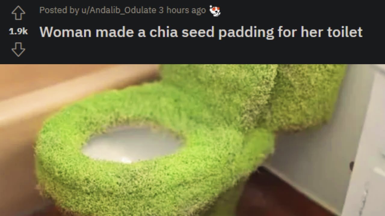Chia toilet