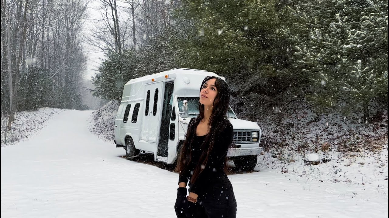 ❄️ Camping in the Van 🚐 Snow Storm with the Animals 🐱🐶 SNOW ASMR #49