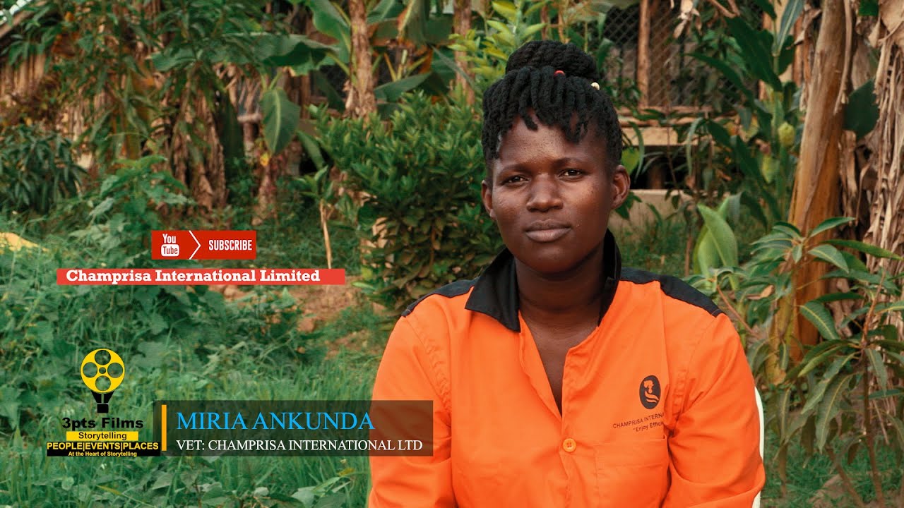 TREATMENT OF BIRDS ON THE FARM WITH HENDRIX|TECHNICAL SERVICES FOR CHICKEN FARMING|PIG FARMING