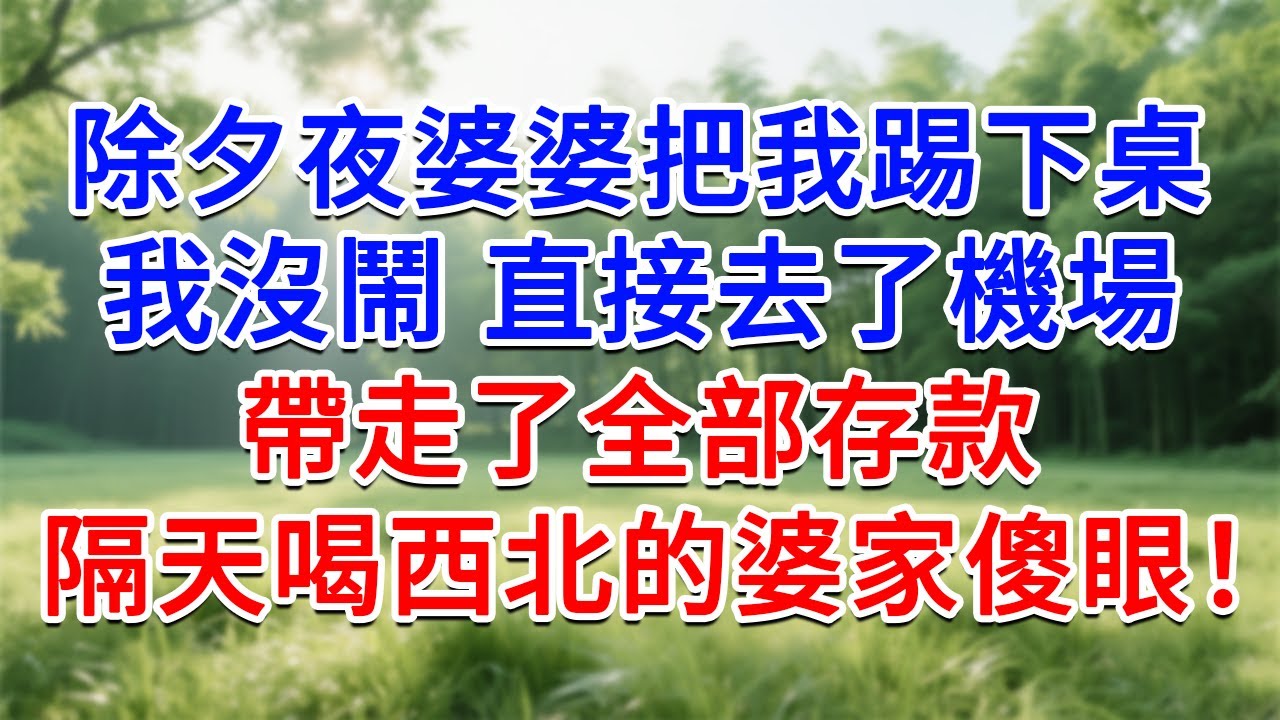 除夕夜婆婆把我踢下桌，我沒鬧 直接去了機場，帶走了全部存款，隔天喝西北的婆家傻眼！#為人處世#生活經驗#情感故事#故事#小說#戀愛#情感#婚姻