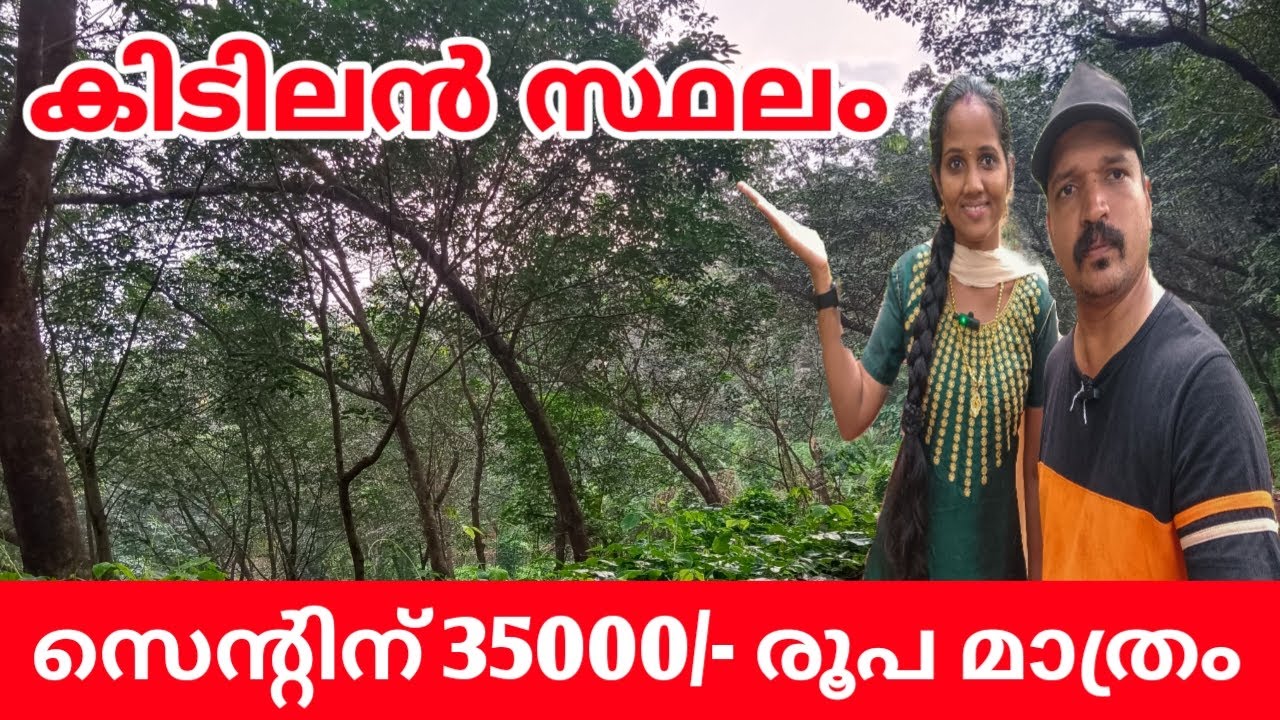 FOR SALE |കിടിലൻ  സ്ഥലം , സെന്റിന് 35000/-രൂപ മാത്രം #kerala   #hometour #new #trending #realestate