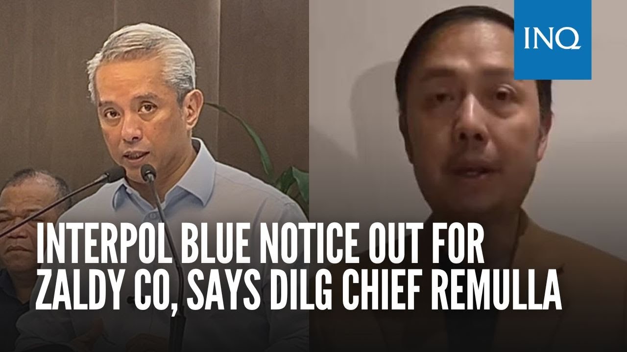 Interpol blue notice out for Zaldy Co, says DILG chief Remulla