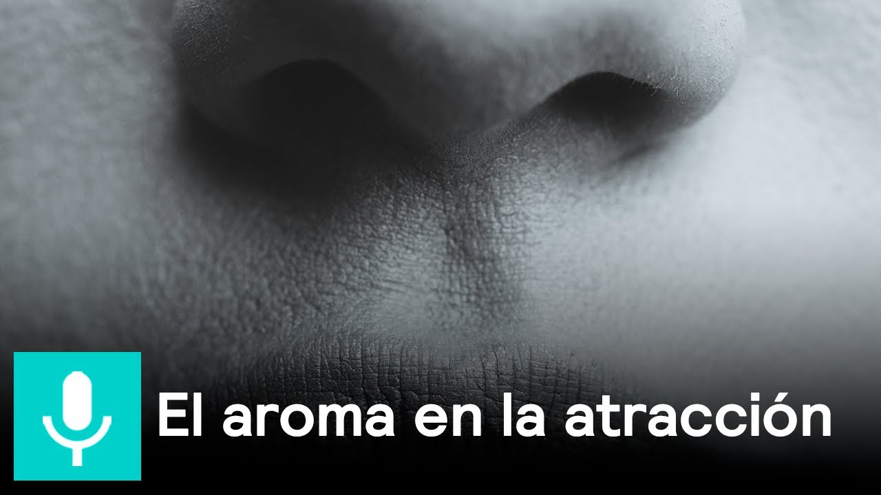 El papel del olfato en la atracción humana - Al Aire con Paola