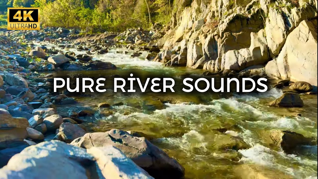 Relaxing River Sounds 4K (No Music) 🌿 Natural Water Ambience for Sleep, Study & Stress Relief 