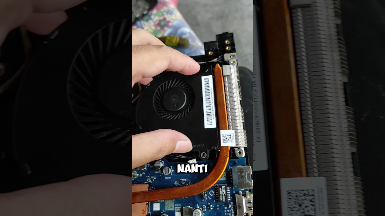 upgrade VGA laptop bs?, pikirn dewe #maggotbsf #kagebsf #suplement #maggotkering