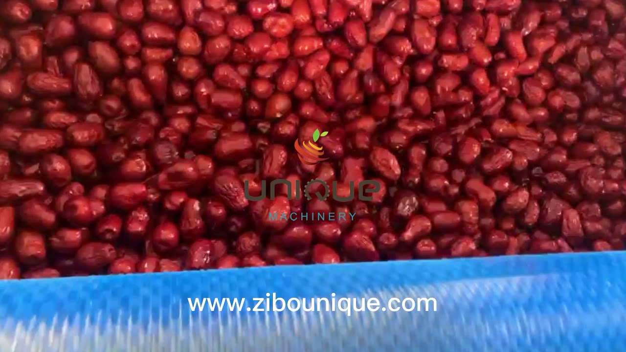 Palm dates brush polishing machine from Zibo Unique Machinery