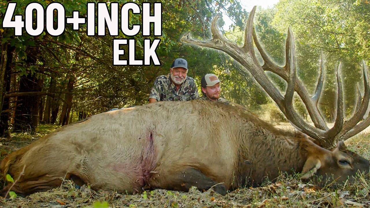 ELK DOWN! | 2-Day Rifle Hunt for a 400+ Inch Monster