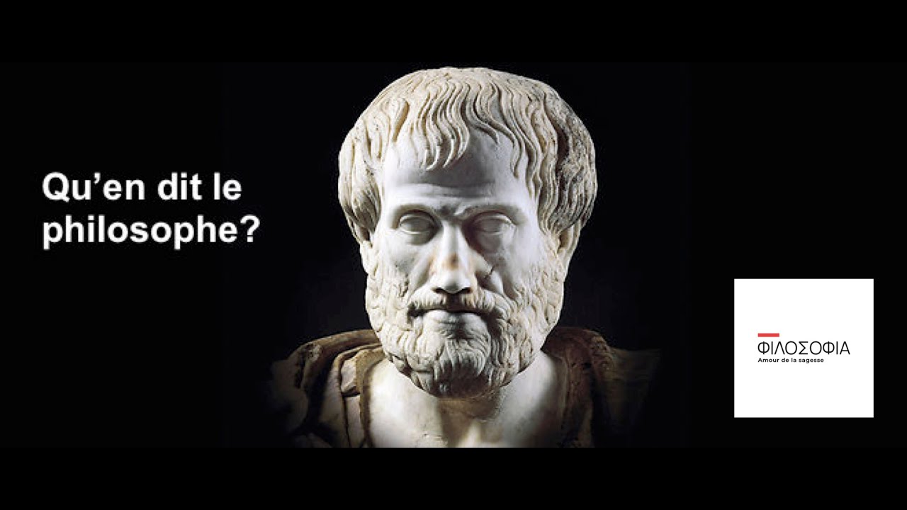 Qu'en dit le philosophe?, 18: Forme et matière: une distinction métaphysique aristotélicienne?