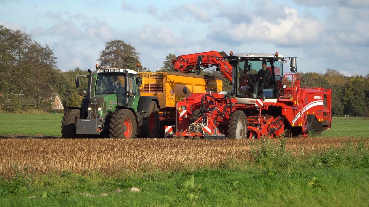 Lelies rooien met Grimme Varitron 200 en 2 Fendt trekkers - loonbedrijf Wardenier (2022)