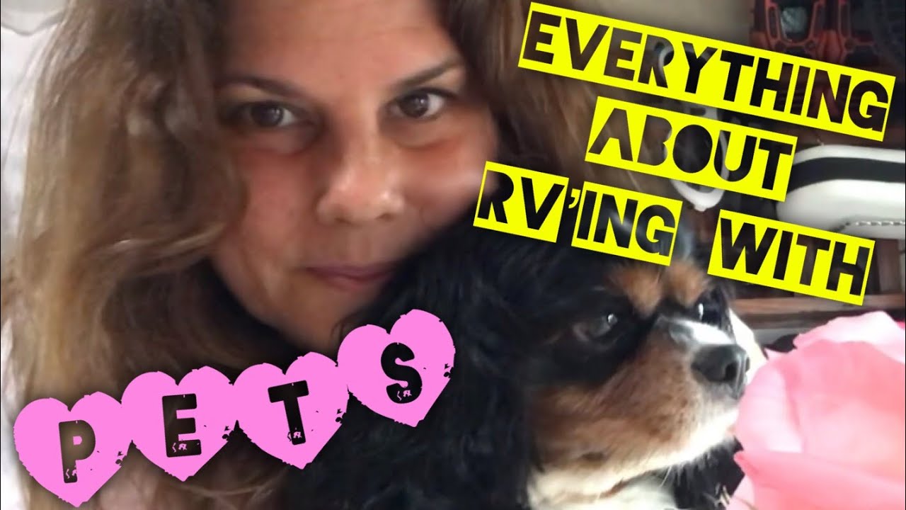 BEST RVING PET TIPS !