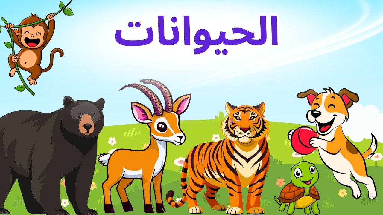 🔴 بث مباشر | تعليم الحيوانات و الأرقام والحروف الأبجدية 🔢🔤 | نمّور الشطور 🦁