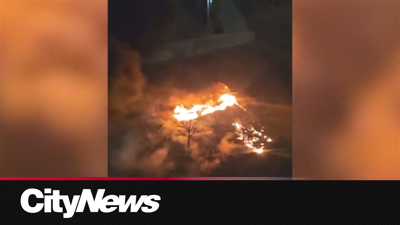Iconic downtown canoe burnt in suspected arson