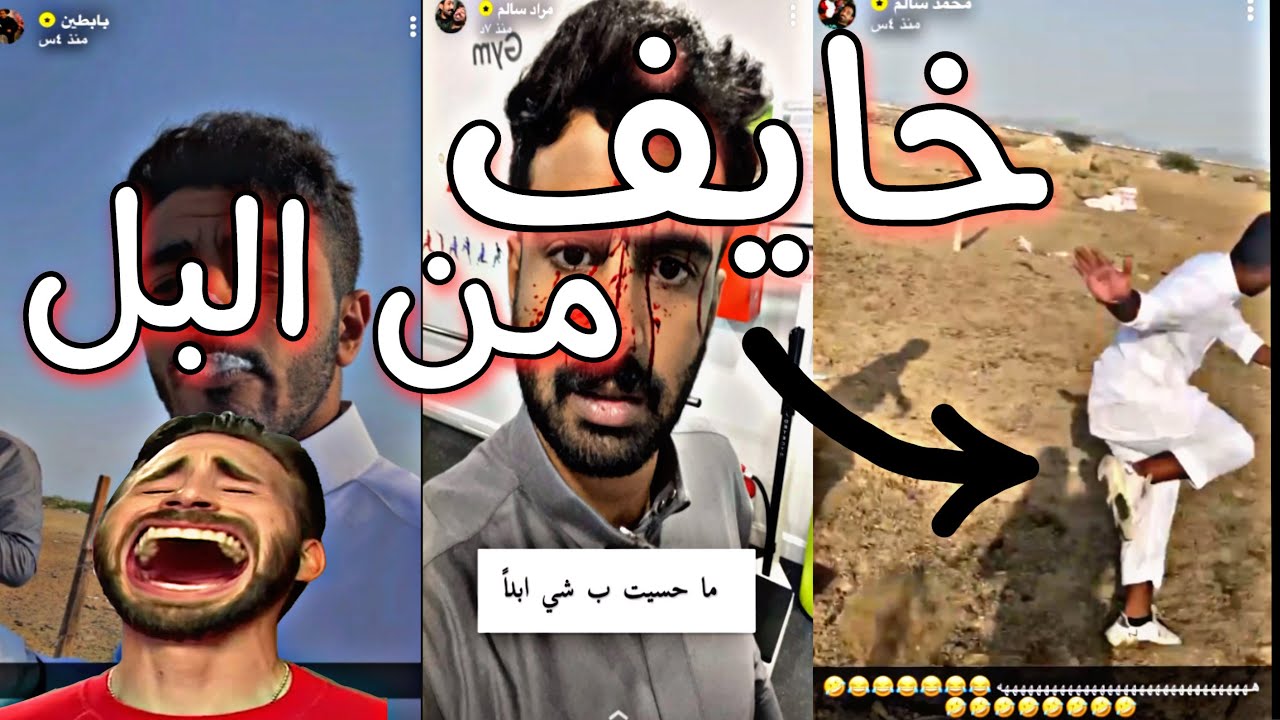 سناب مراد و محمد سالم و بابطين،راحو عند البل و بابطين خاف منها🤣🤣