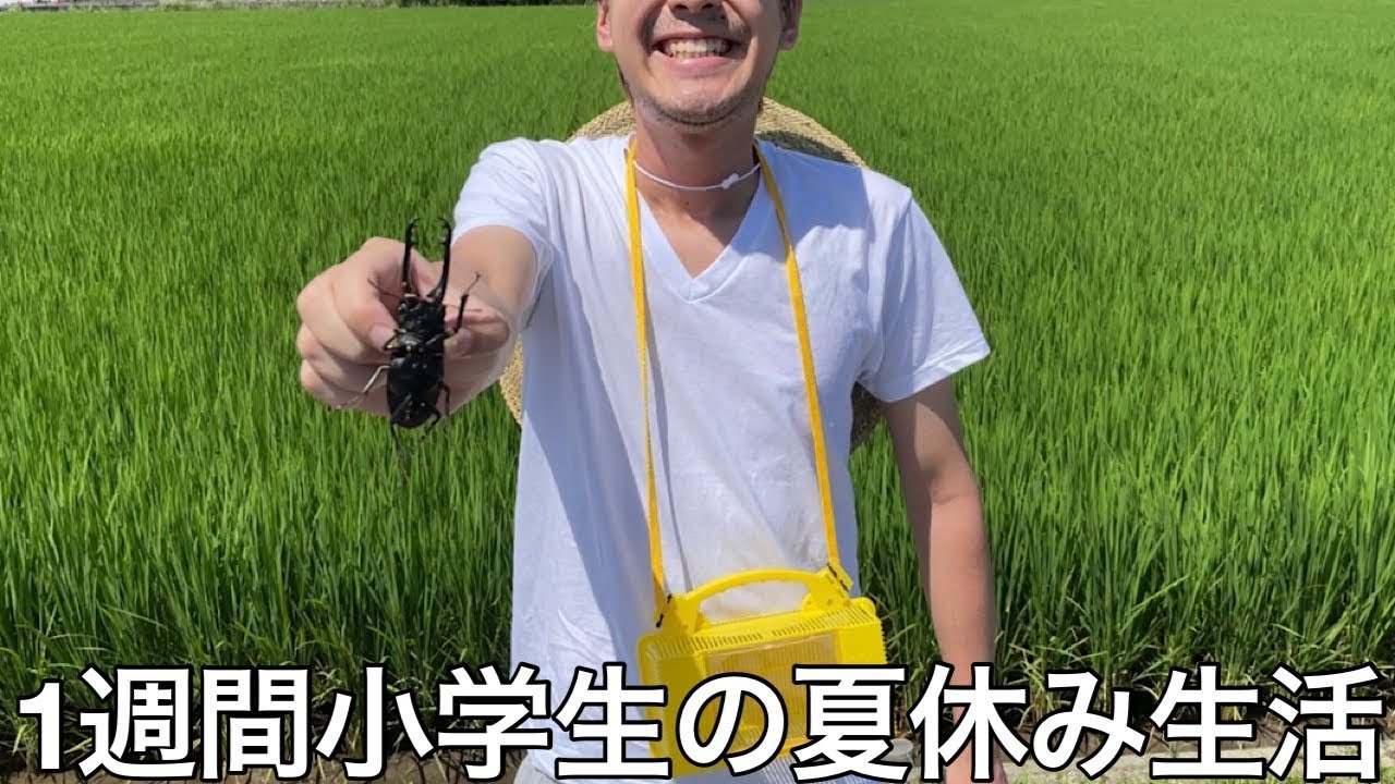 【旧実写】子供心忘れた大学中退ニートに1週間小学生の夏休み生活させたら青春時代を思い出したがゴミ人間に変わりなかった