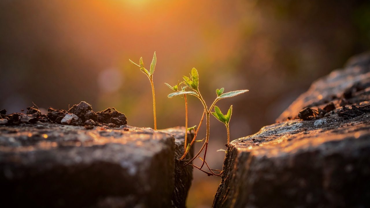 Disruption Is Essential For Spiritual Growth  – Traditional Service (Streaming 1-4, 2026)
