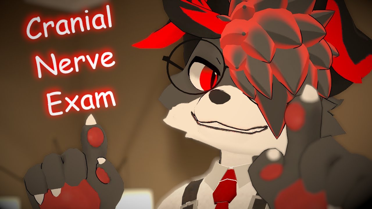 [Furry VRChat ASMR] Personal Cranial Nerve Exam🔍