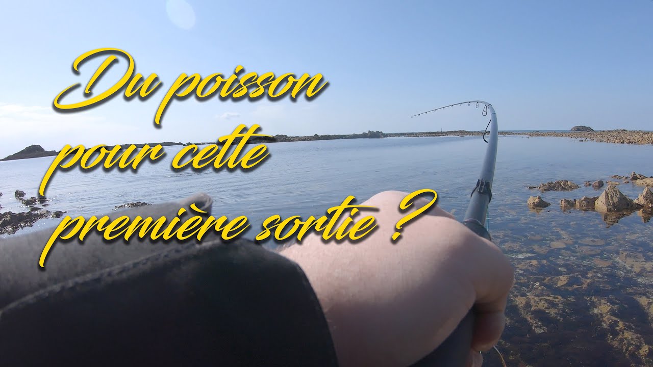 1er Sortie 2024 Pêche du bard du bord
