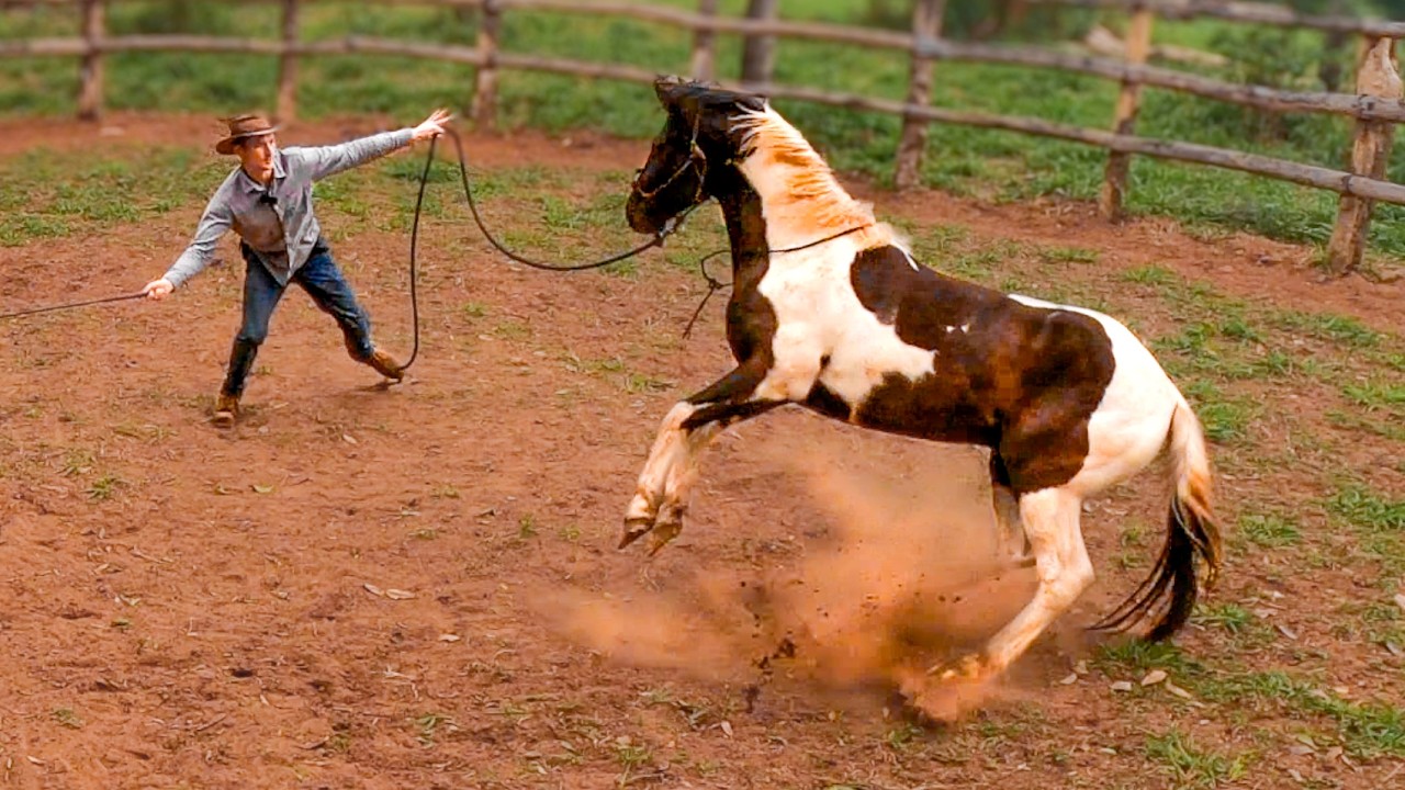 Trimming A WILD HORSE'S Hooves For The First Time! (BAD IDEA) | Taming A Wild Horse [EP14]