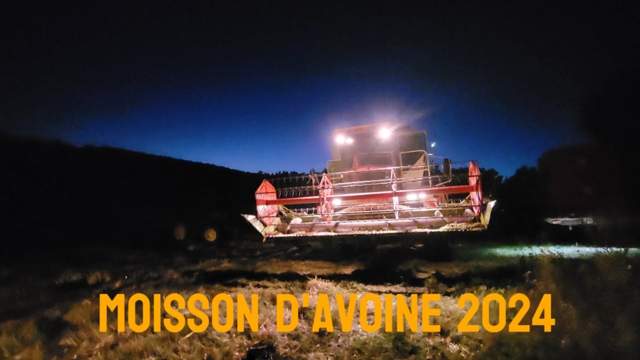 moisson d'avoine 2024, fin des moisson