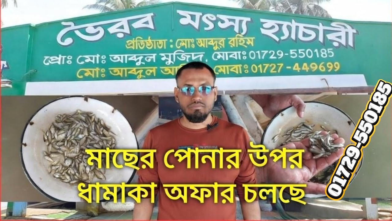 সব মাছের রেনু ধানী পোনা কিনুন সরাসরি যশোর ভৈরব মৎস্য খামার থেকে এবং মাছ চাষ  পরামর্শ নিন ফ্রিতে