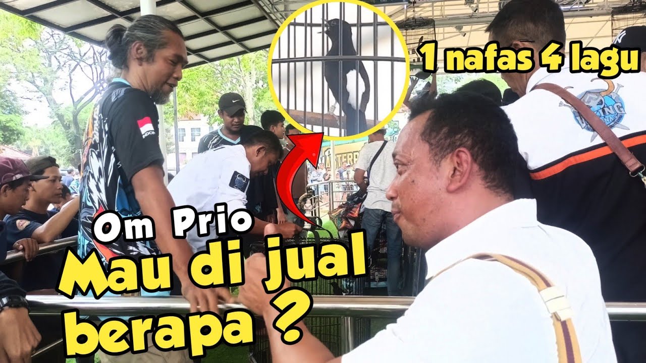 MURAI BATU SUGENG ‼️ PUKULAN MURAI TERDAHSYAT DI MASTERPIECE FEAT VIKING ARENA 🔥