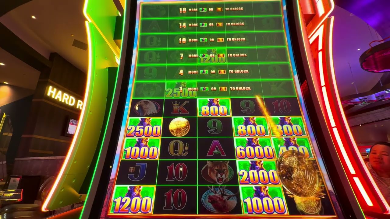 Hard Rock Casino Sacramento The Great Buffalo Bonanza Mega Stampede