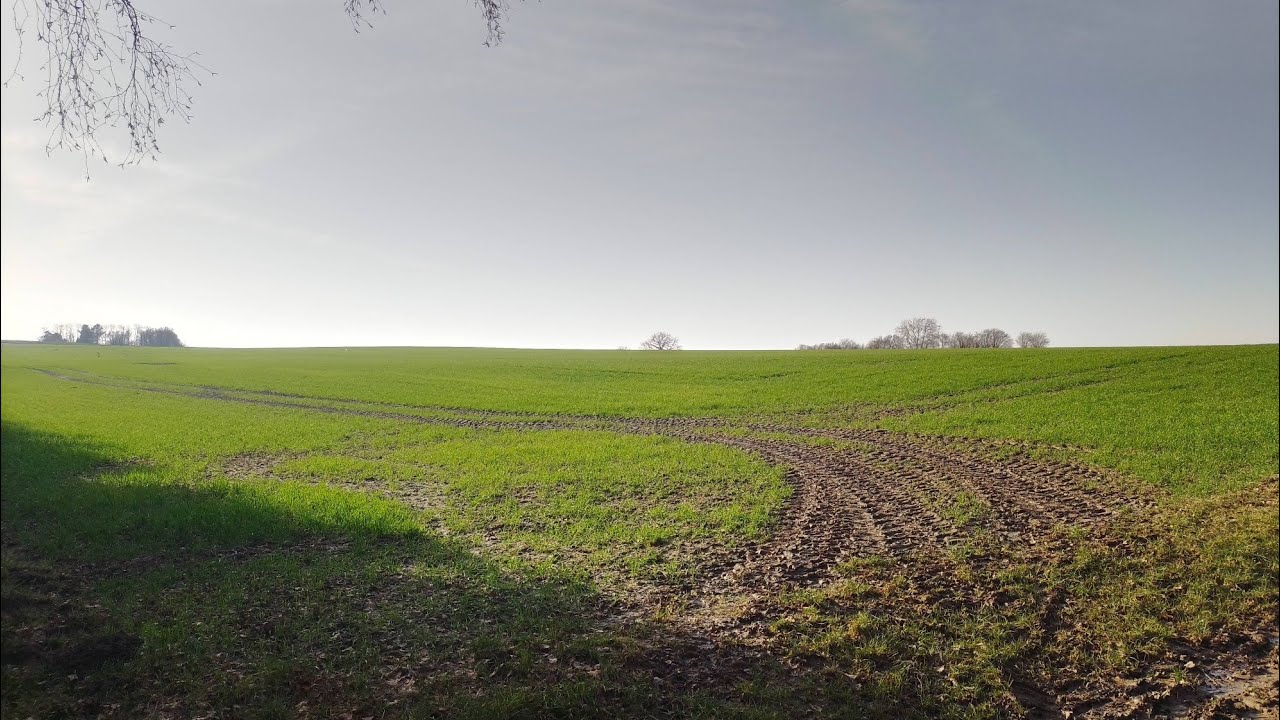 Das erste Grün im Februar 2026