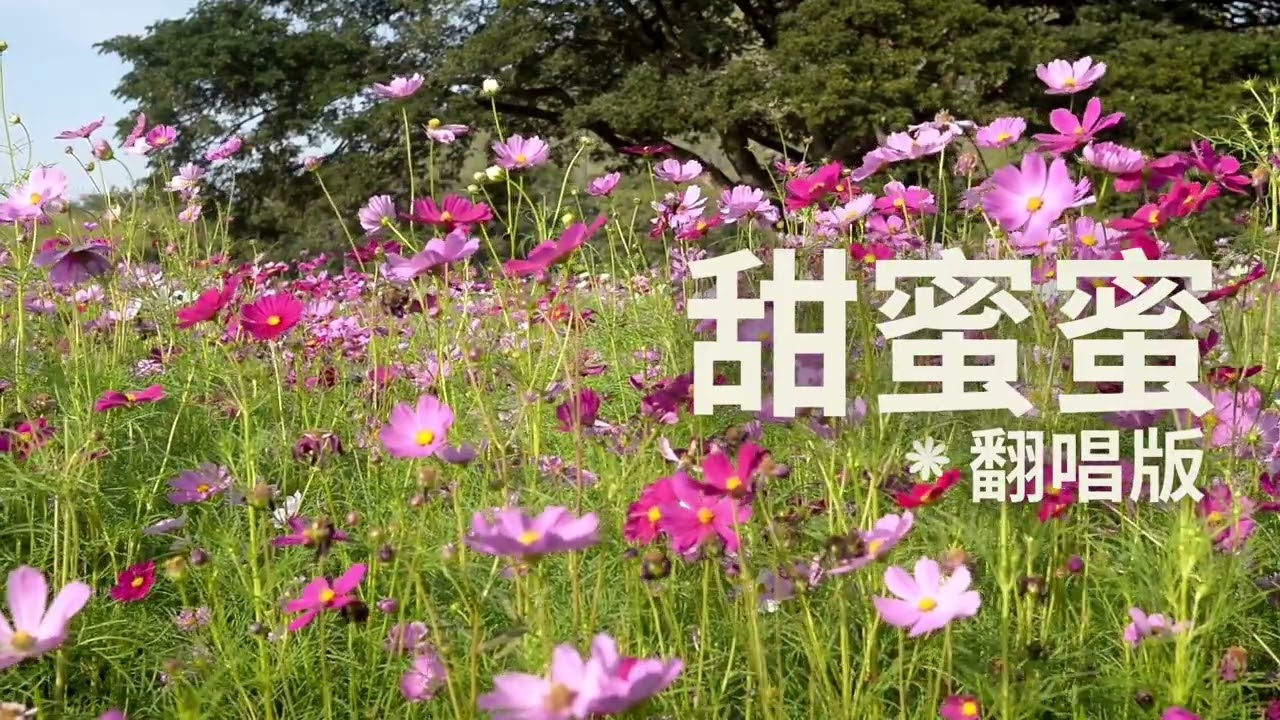 🎧 甜蜜蜜｜如果邓丽君经典变成现代唱法会怎样？｜翻唱版