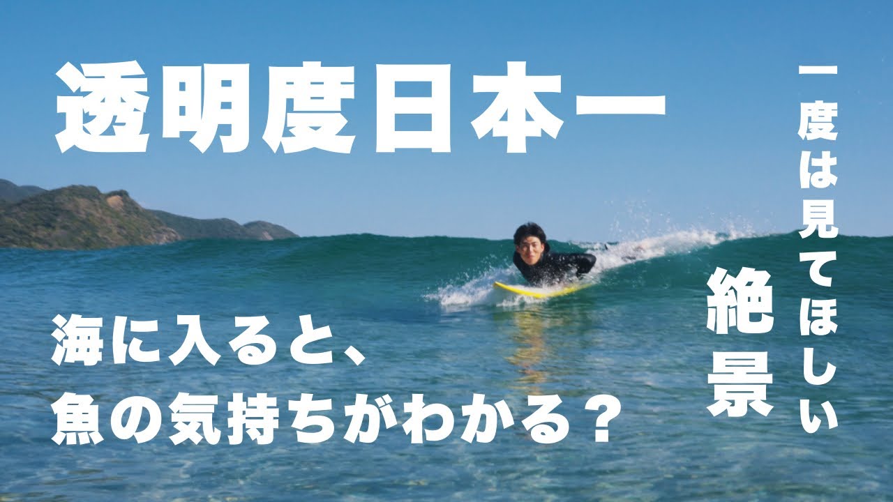 【絶景】透明度日本一の海でサーフィンしてみたら、魚の気持ちがわかってしまいました。