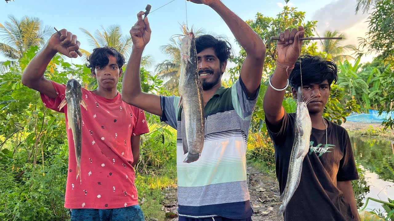 বড়শির টানে টানে মাগুর মাছ। Hook fishing 