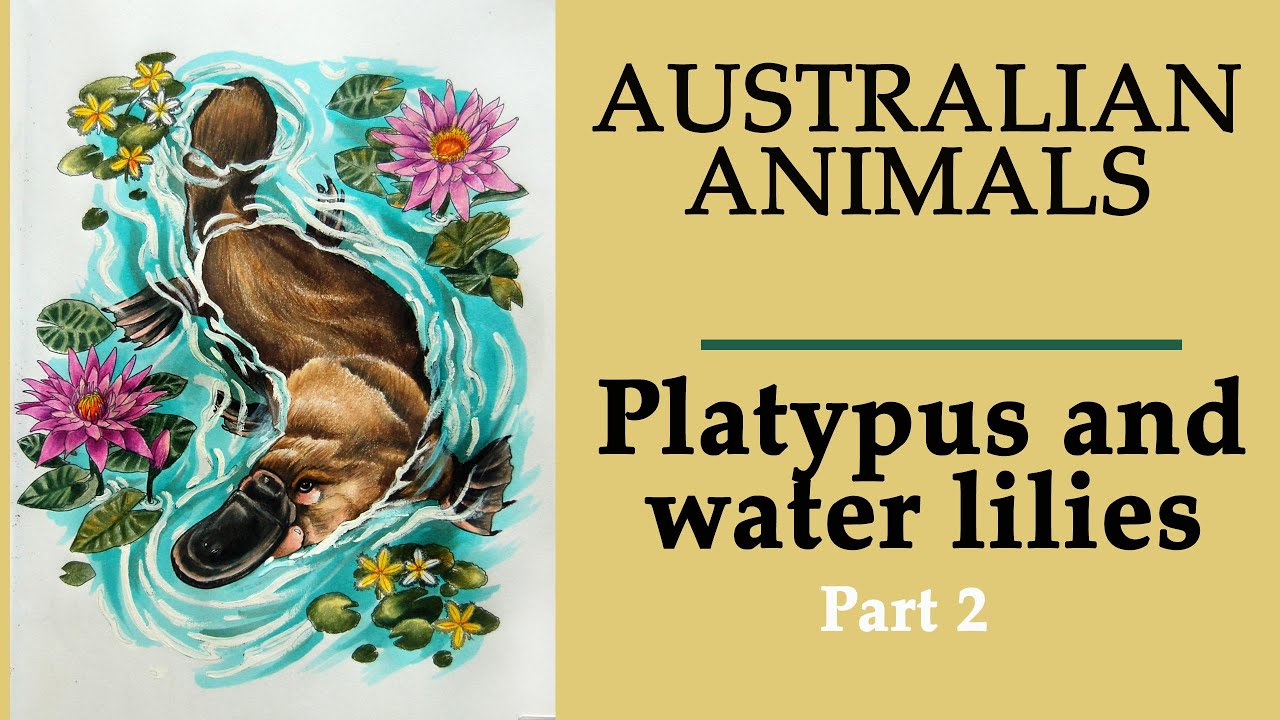 Platypus and water lilies. Part 2 #Coloring in 'Australian Animals' #adultcoloring