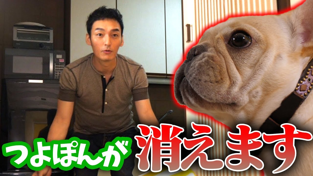 クルミちゃんに突然消えるドッキリ！