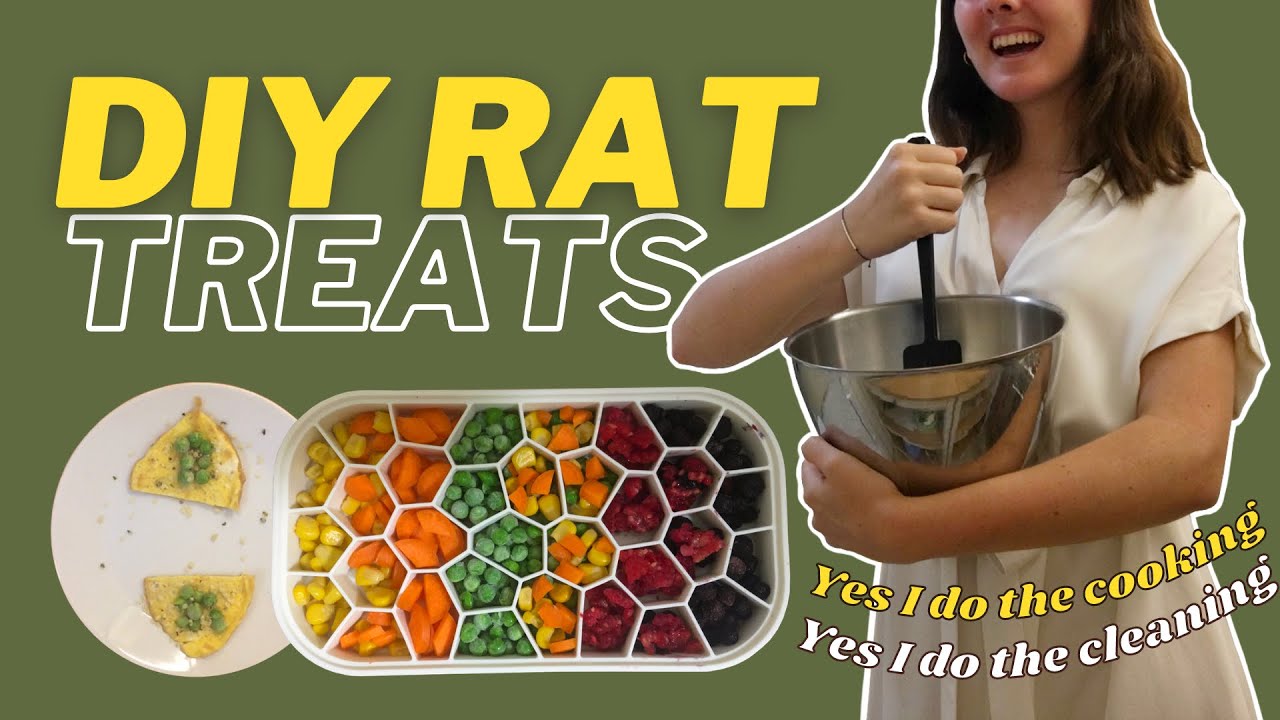 Making DIY PET RAT TREATS for a Whole Week