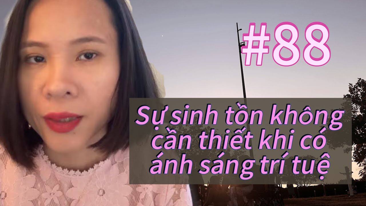 #88 Tỉnh Thức: Sự An Toàn Không Phải Là Niềm Tin Mù Quán