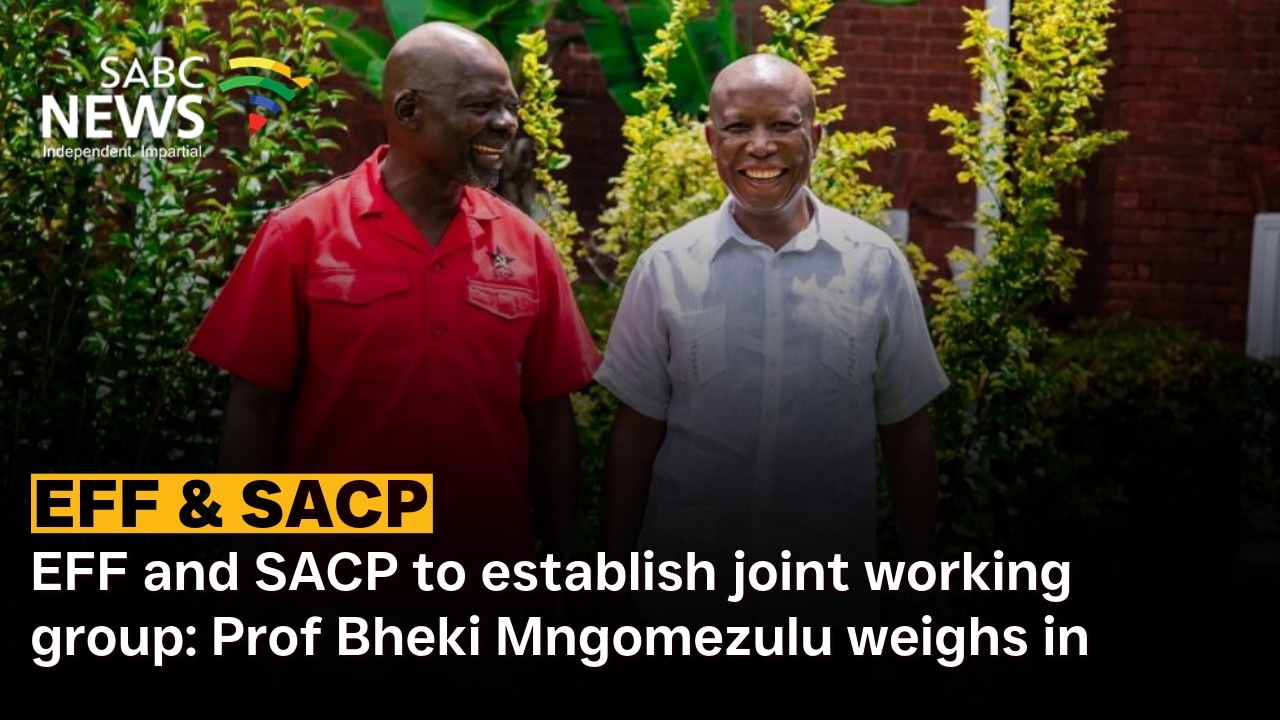 EFF and SACP to establish joint working group: Prof Bheki Mngomezulu weighs in