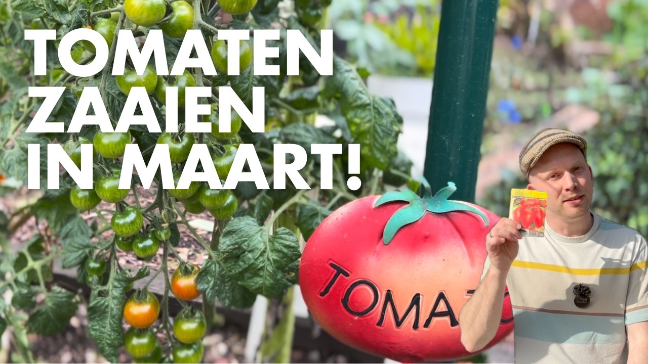 Tomaten zaaien in Maart? 🍅 Deze tomaten ga ik zaaien in 2026! 🌱 | De Moesketier
