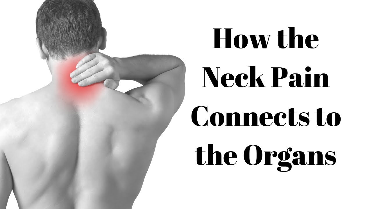 How the Neck Pain Connects to the Organs