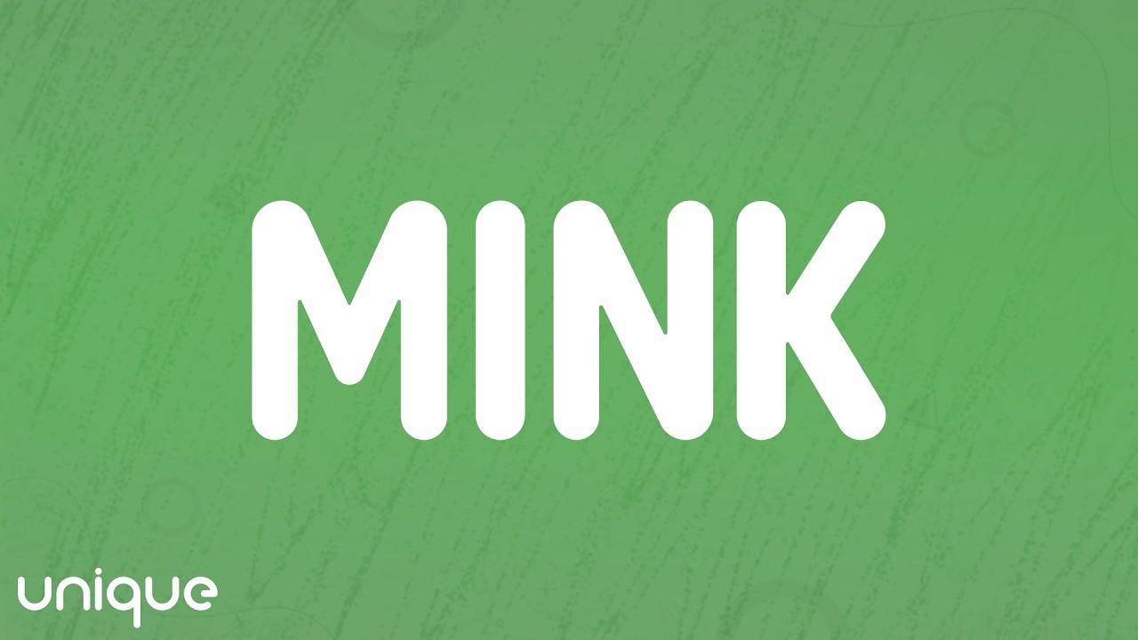 RosarioRay - Mink (Lyrics)