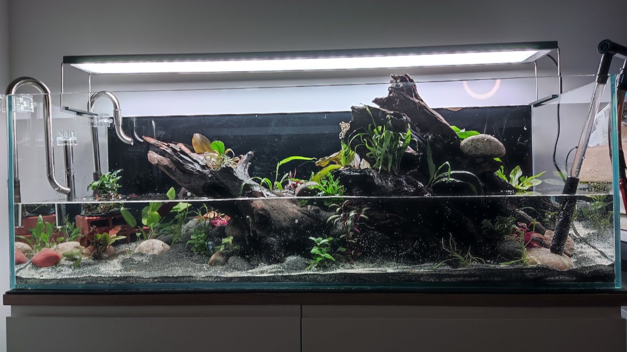 Aquarium Wasserwechsel System kurz erkl&auml;rt / How to change water very simple