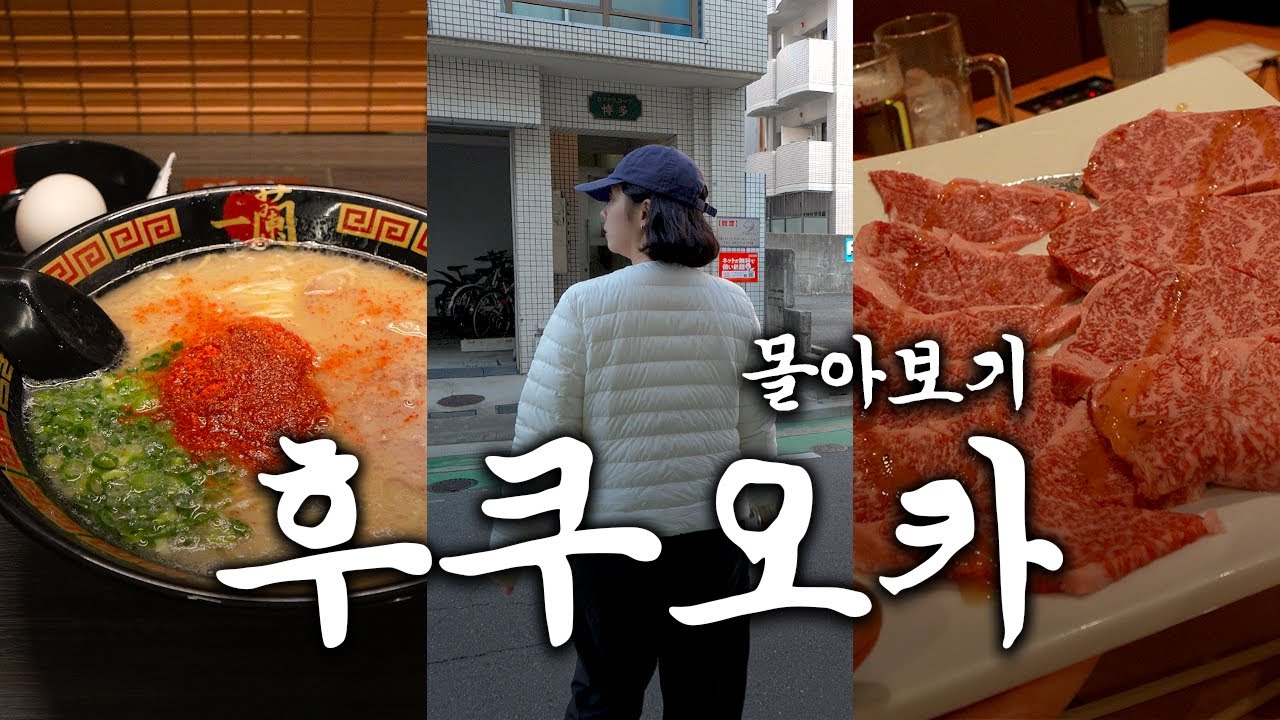 🇯🇵구글평점4.4이상 맛집만 낋여옴.하카타 독채 숙소🏡. (야키니쿠,모츠나베,이온쇼퍼즈,오호리공원,텐진 쇼핑,이코야킨지로,링고애플파이,칼디,이치란)