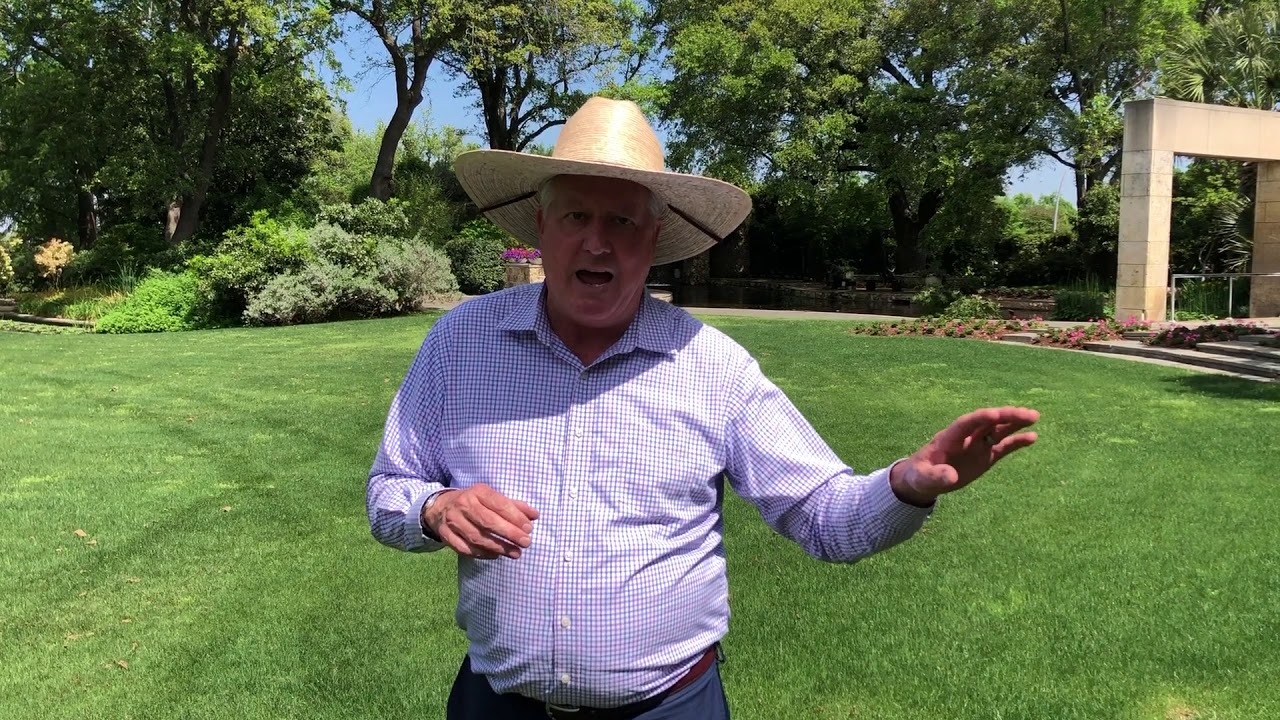 Plant Features: Perennial Rye Grass