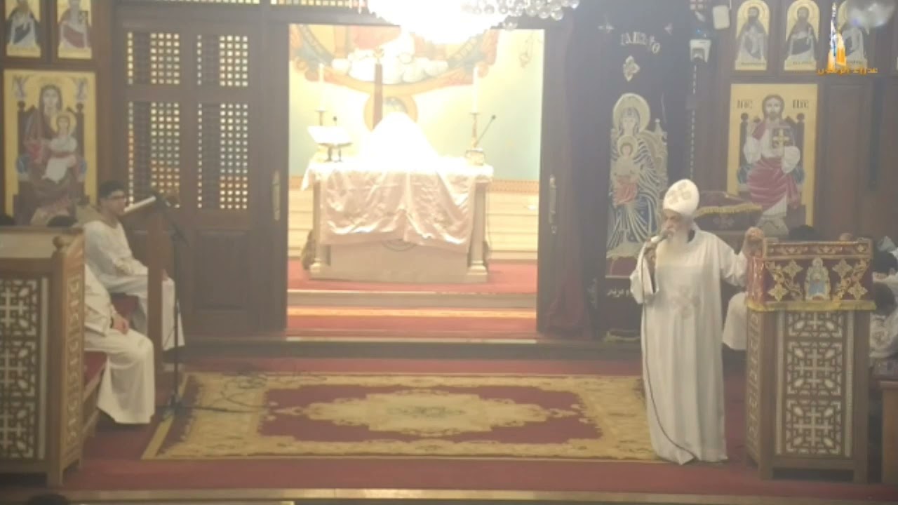 كرامة المرأة-القس بيشوي فايق-عظة القداس الالهي-كنيسة العذراء مريم الزيتون 6-2-2026