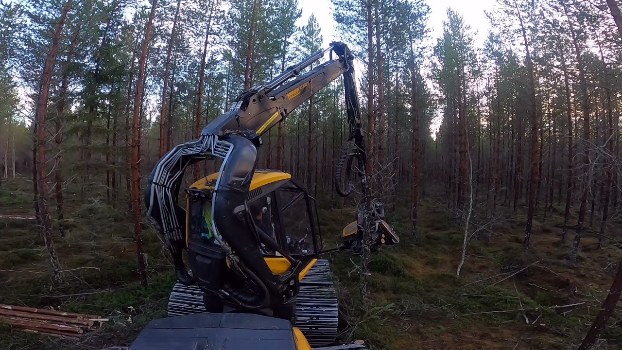 Nättiä joukkokäsittely harvennusta Ponsse Scorpion H6