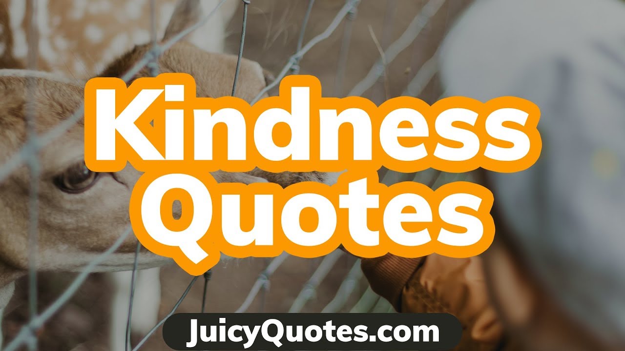Top 15 Kindness Quotes and Sayings 2020 - (Results From Being Kind)