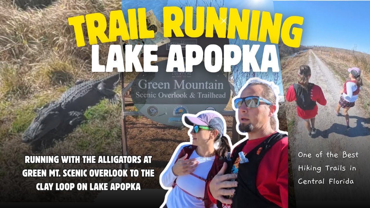 Trail Running Central Florida: 10 Miles, Alligators & Scenic Lake Apopka Trails