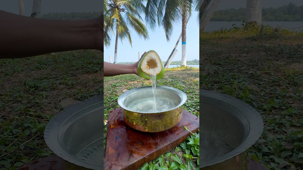 Tender Coconut 🌴 Chicken 🍗 #shorts