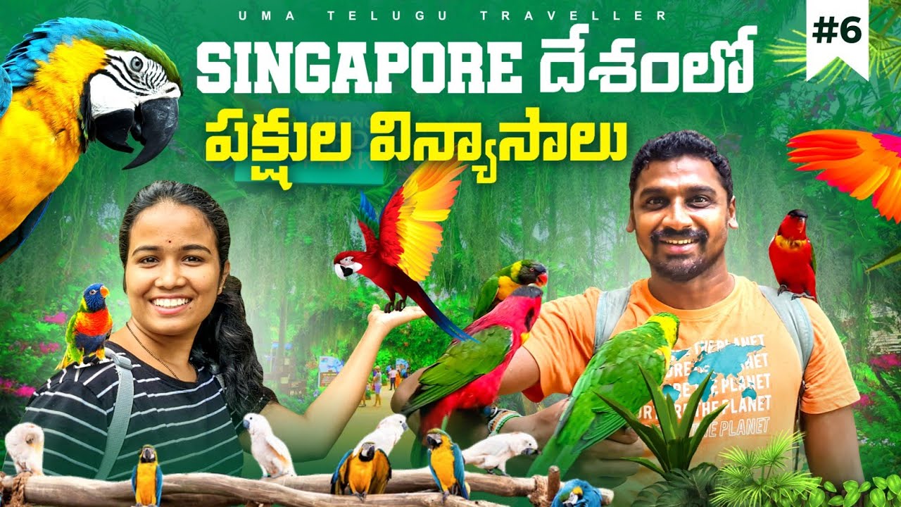 Парк птиц Джуронг 🐦 в Сингапуре 🇸🇬 | Uma Telugu Traveller