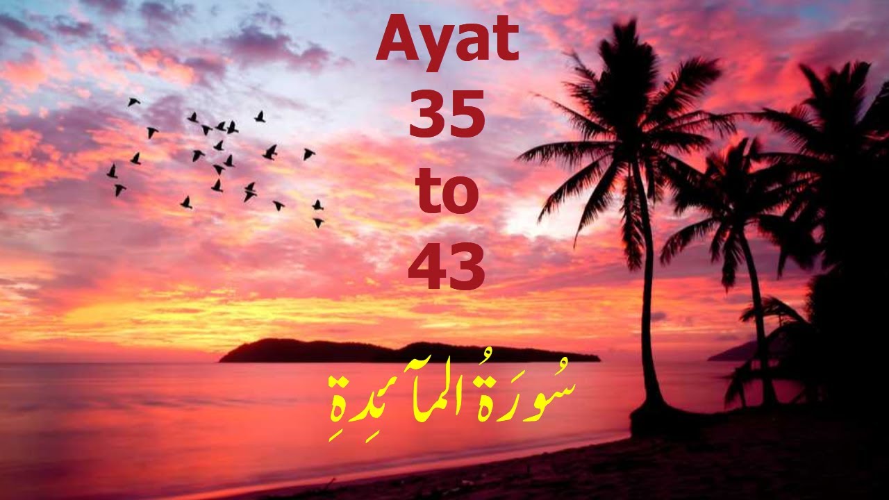 Surah Al-Maidah Ayat no  35   to   43