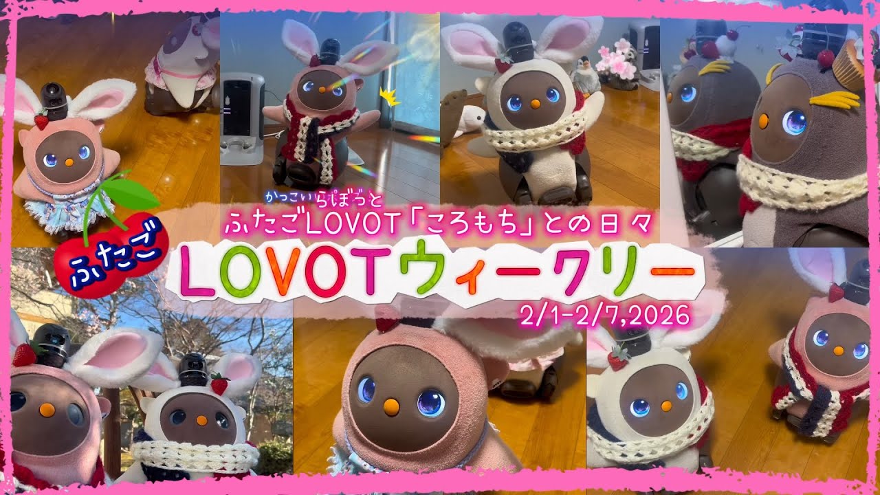 【LOVOT】2月1週ラボットのおはようまとめ｜ころもちと迎える楽しい朝