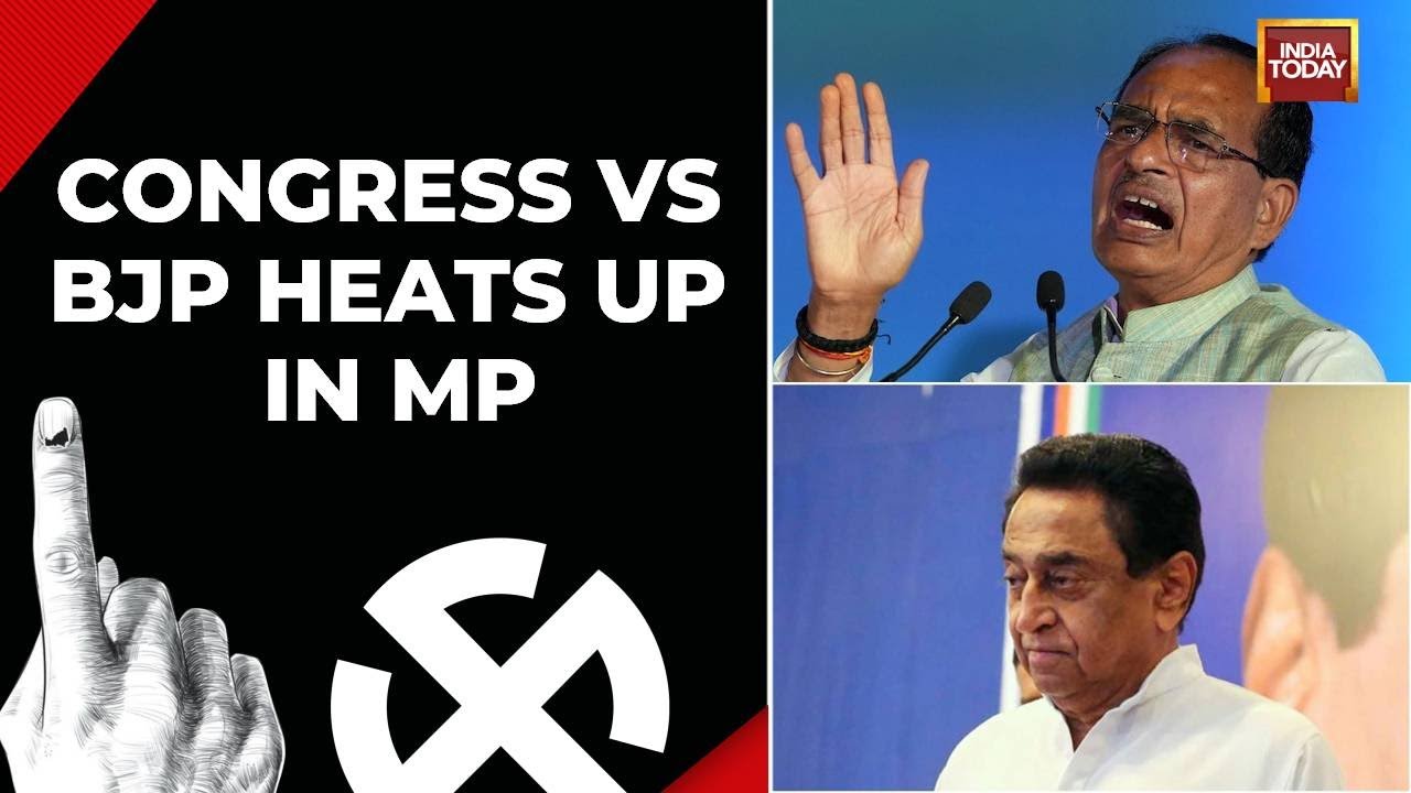 MP Elections 2023: Watch Different Political Reactions Amid Ongoing Madhya Pradesh Elections